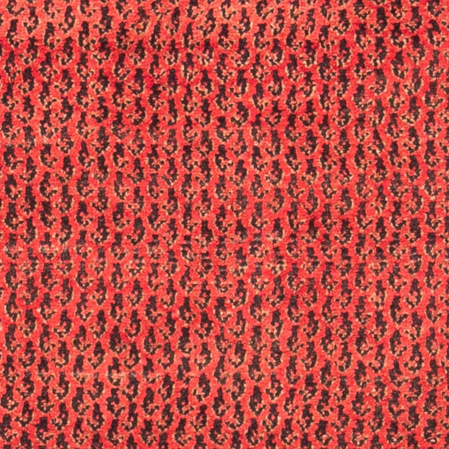 Alfombra de pasillo Alfombra persa - Nómada - 312 x 112 cm - rojo