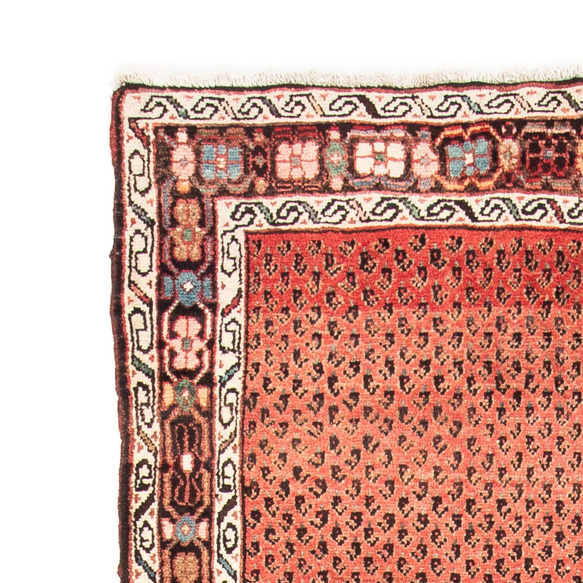 Alfombra de pasillo Alfombra persa - Nómada - 290 x 106 cm - rojo claro