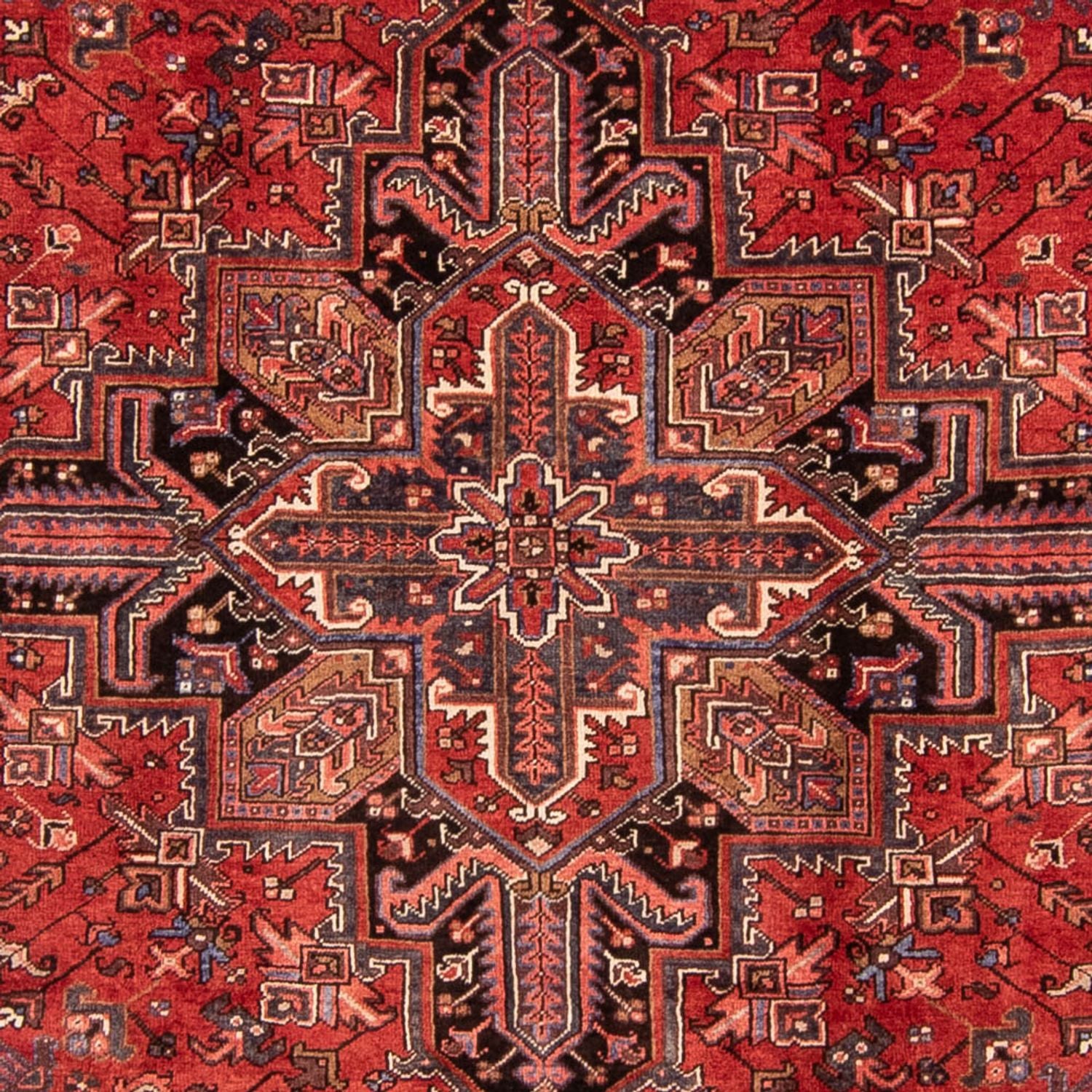 Alfombra persa - Nómada - 328 x 257 cm - rojo oscuro