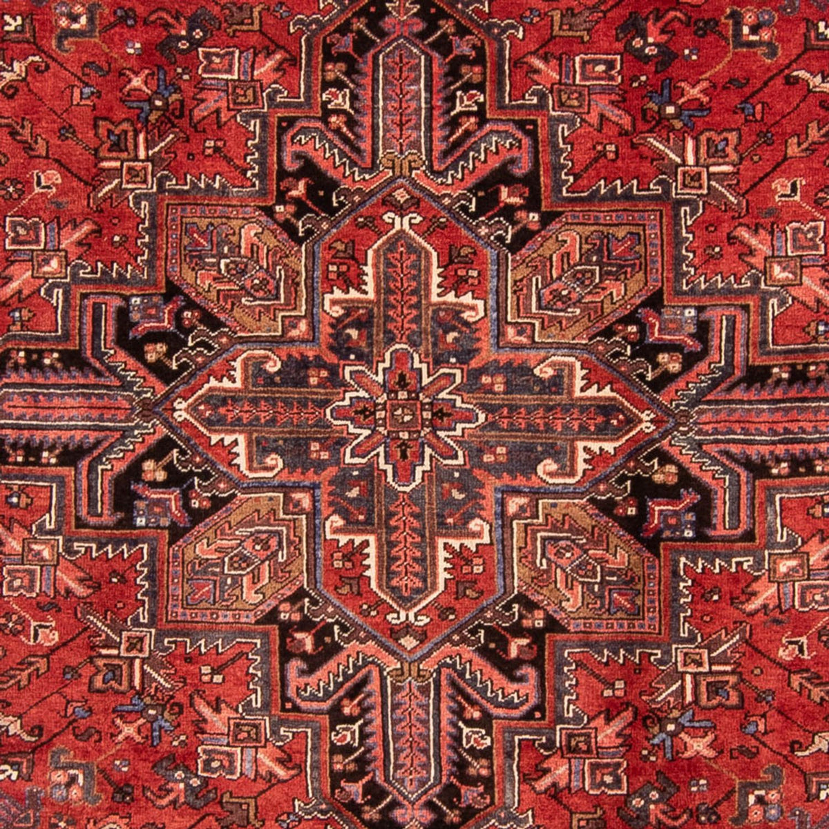 Alfombra persa - Nómada - 328 x 257 cm - rojo oscuro