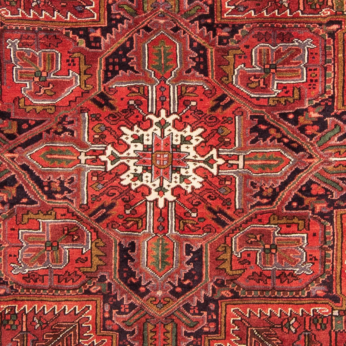 Alfombra persa - Nómada - 326 x 230 cm - rojo oscuro
