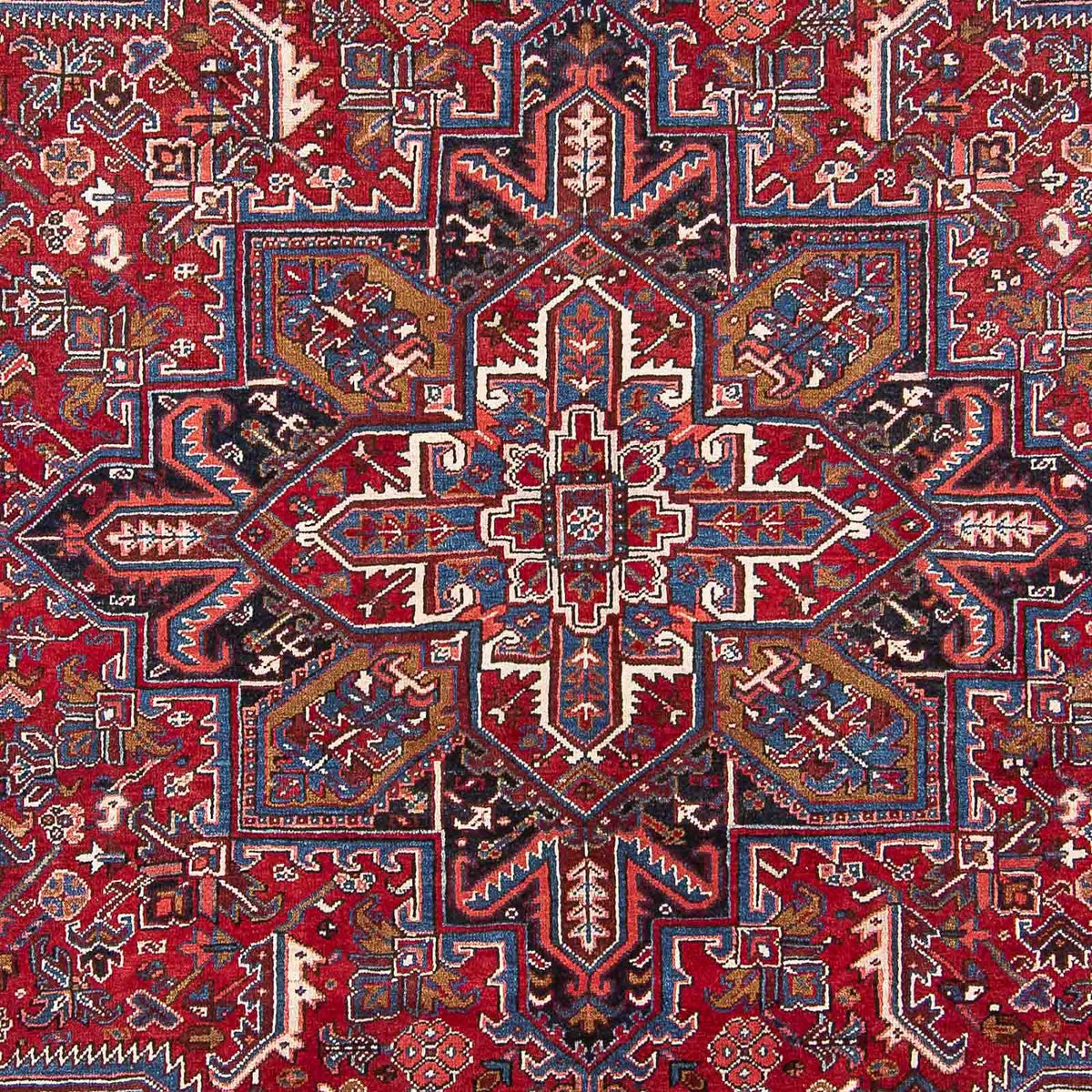 Alfombra persa - Nómada - 313 x 250 cm - rojo