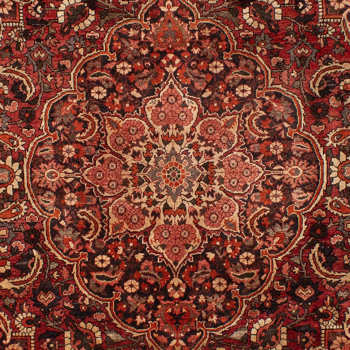 Alfombra persa - Nómada - 353 x 259 cm - rojo