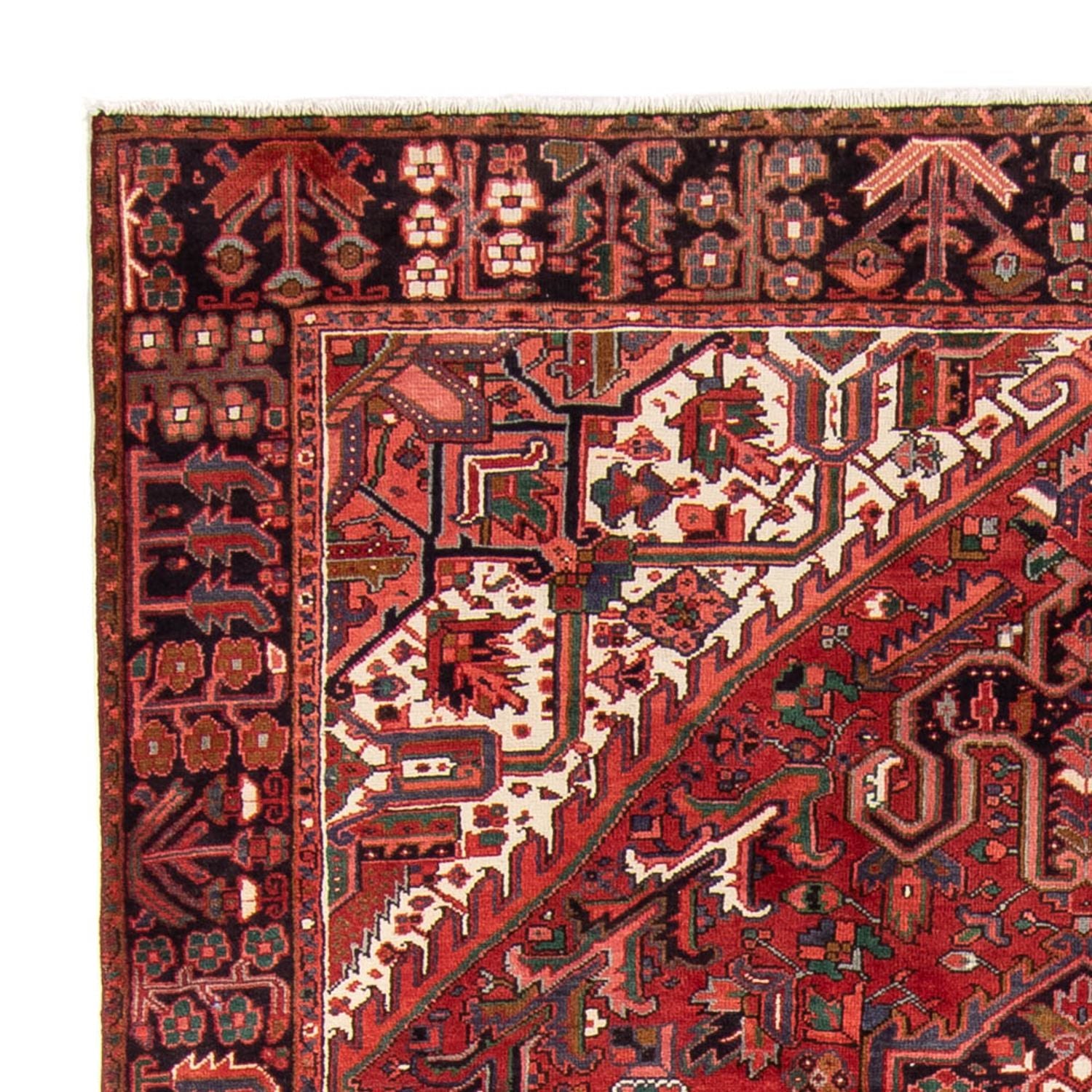 Alfombra persa - Nómada - 343 x 233 cm - rojo oscuro