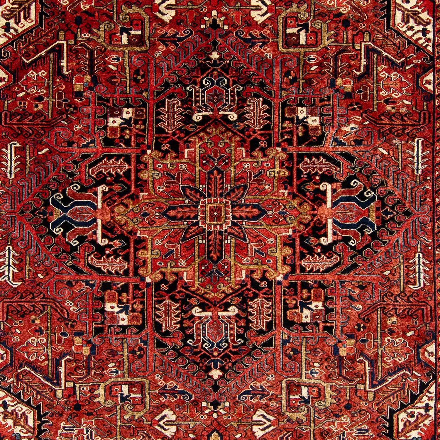 Alfombra persa - Nómada - 380 x 260 cm - rojo oscuro