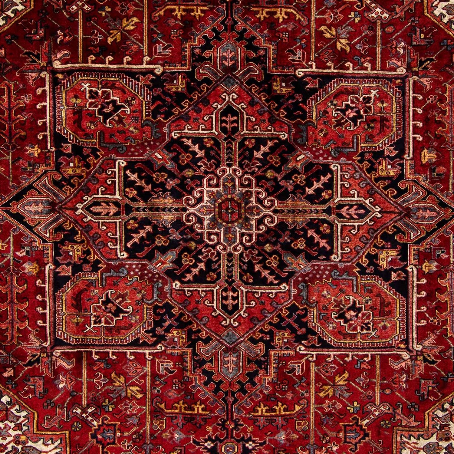 Alfombra persa - Nómada - 380 x 310 cm - rojo oscuro