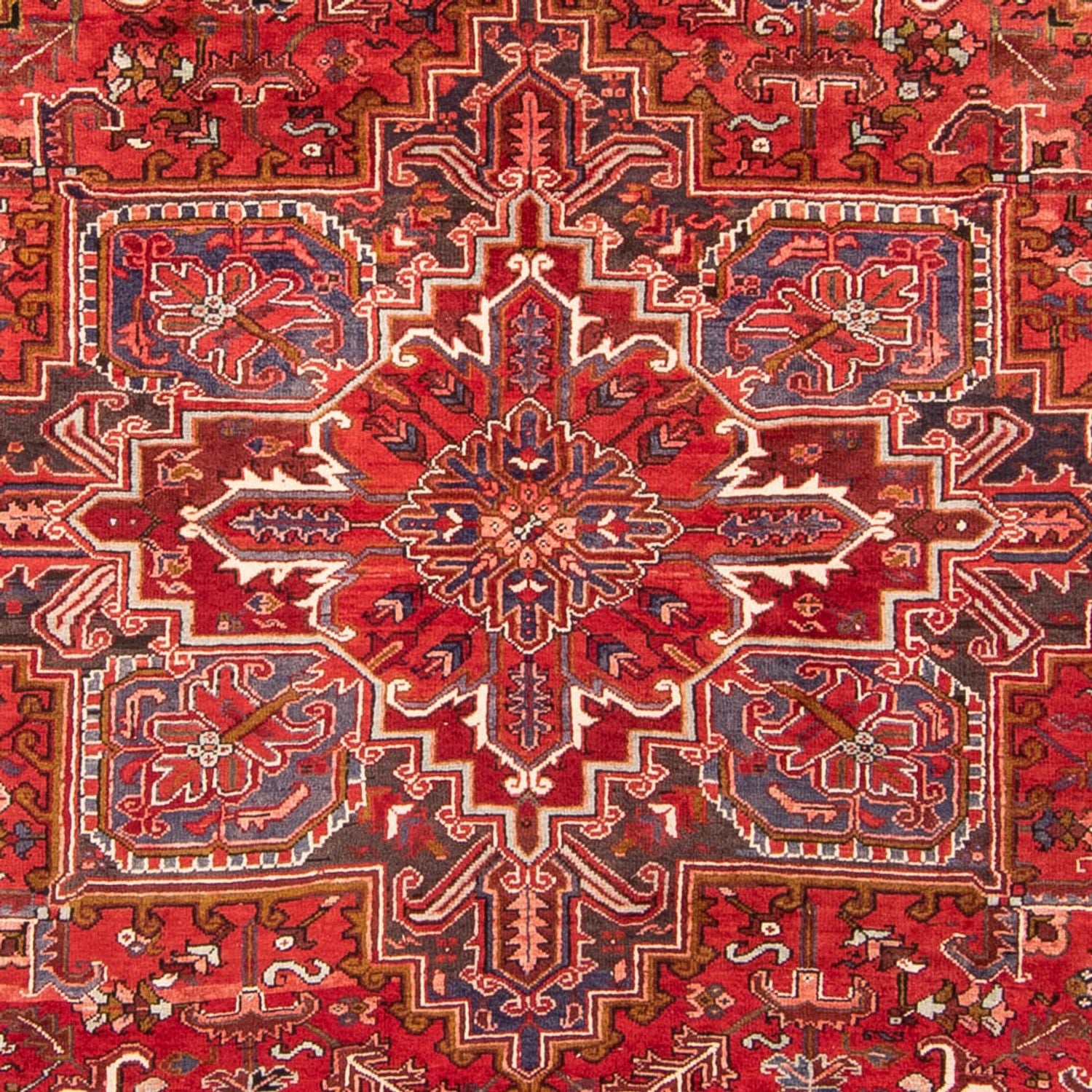 Alfombra persa - Nómada - 345 x 260 cm - rojo oscuro
