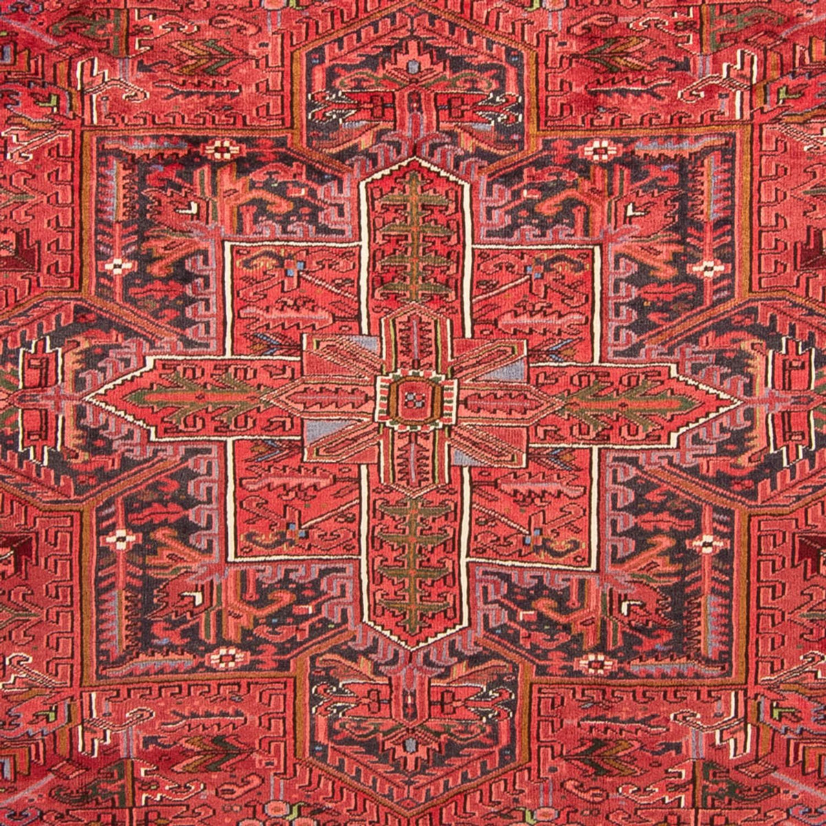 Alfombra persa - Nómada - 345 x 250 cm - rojo oscuro