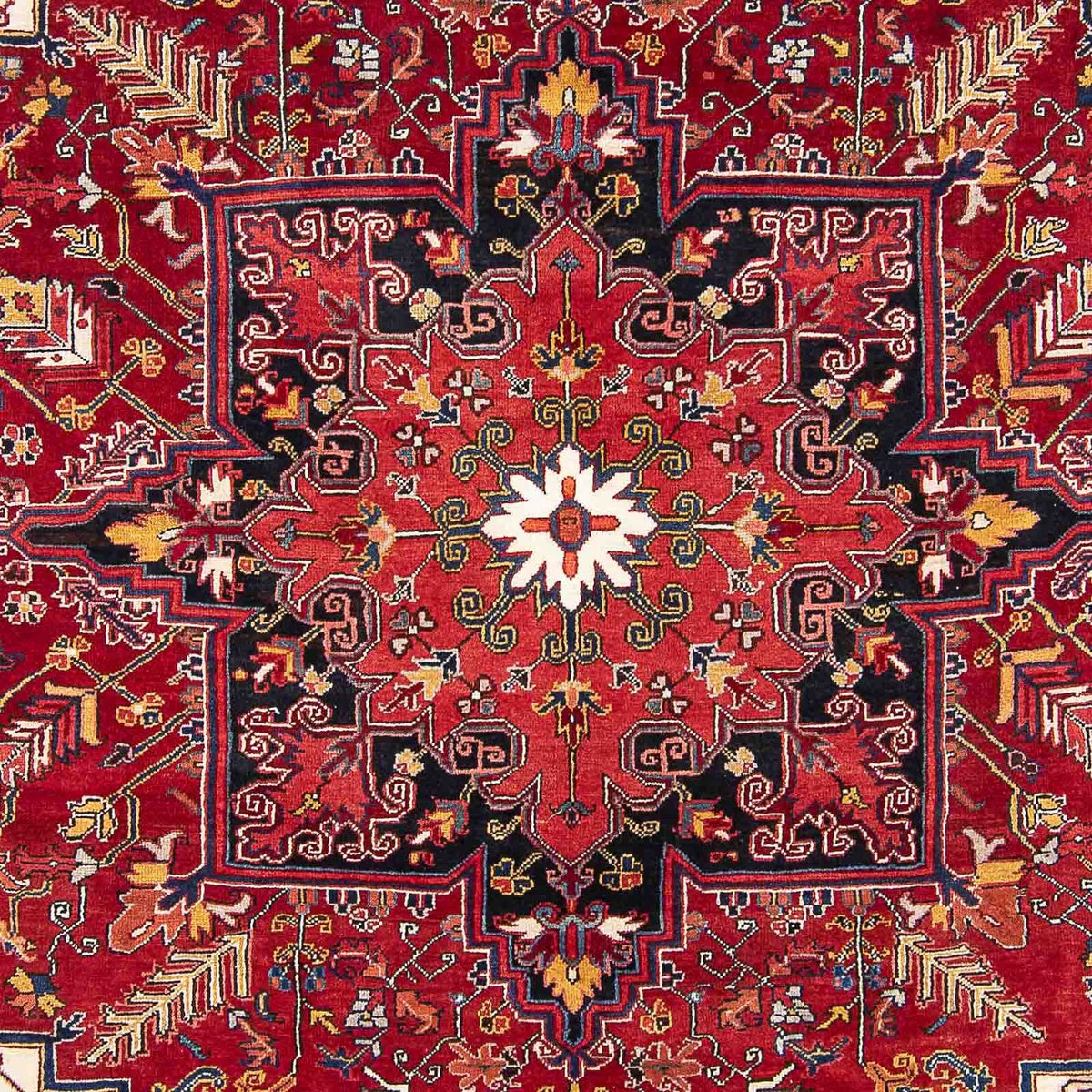 Alfombra persa - Nómada - 323 x 230 cm - rojo claro