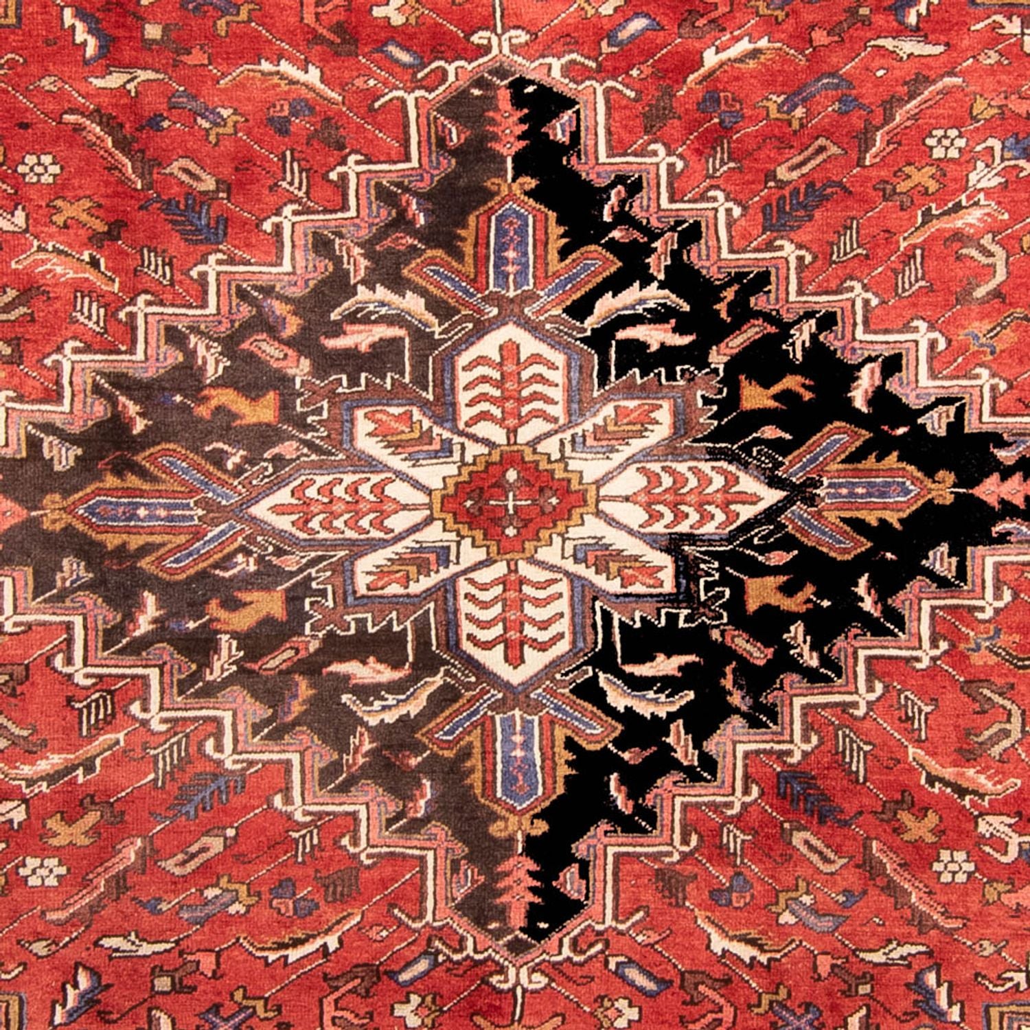 Alfombra persa - Nómada - 331 x 248 cm - rojo oscuro