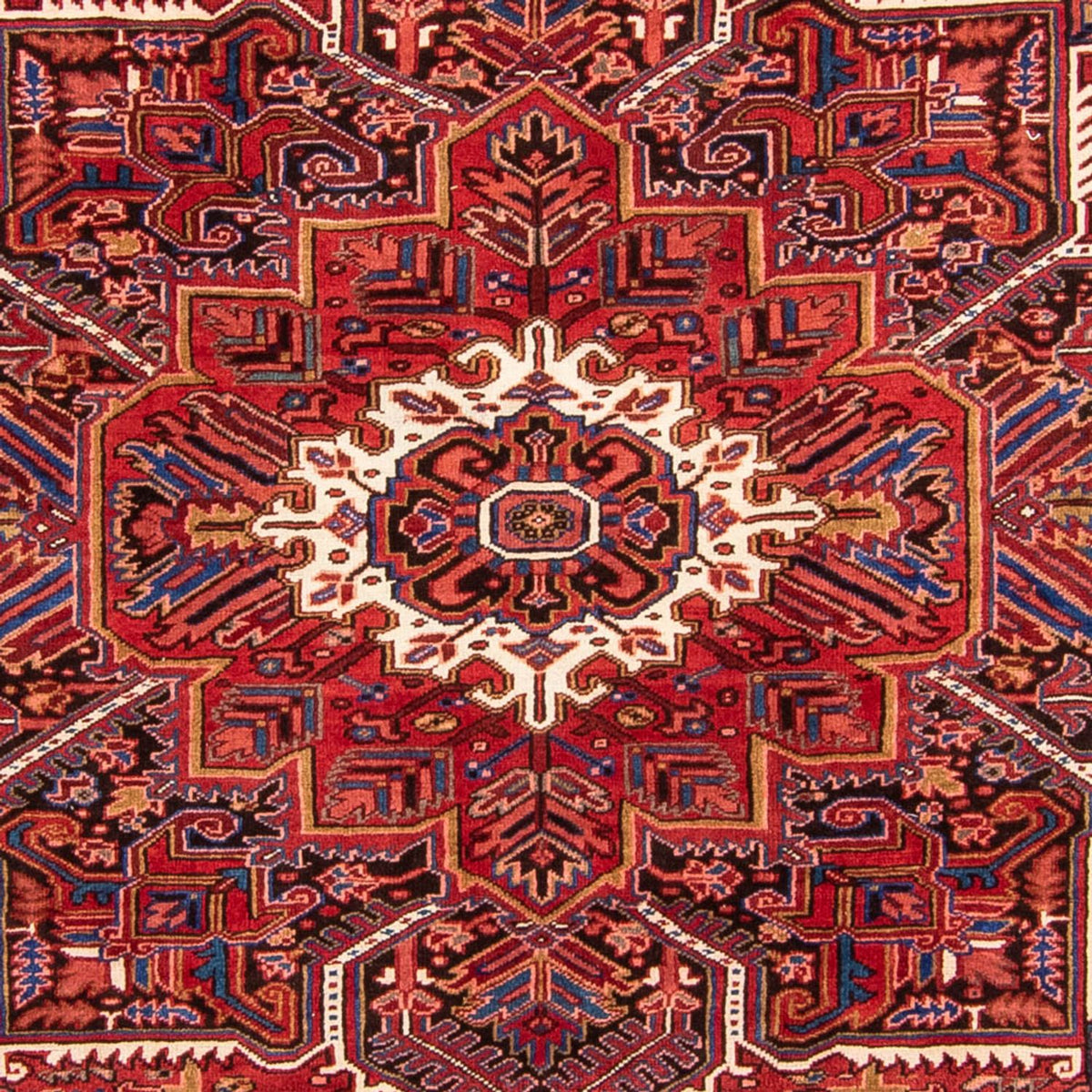 Alfombra persa - Nómada - 330 x 250 cm - rojo oscuro
