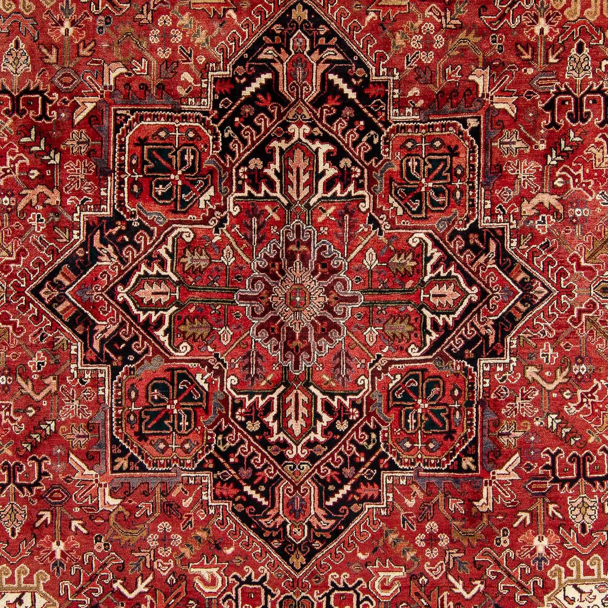 Alfombra persa - Nómada - 400 x 310 cm - rojo oscuro