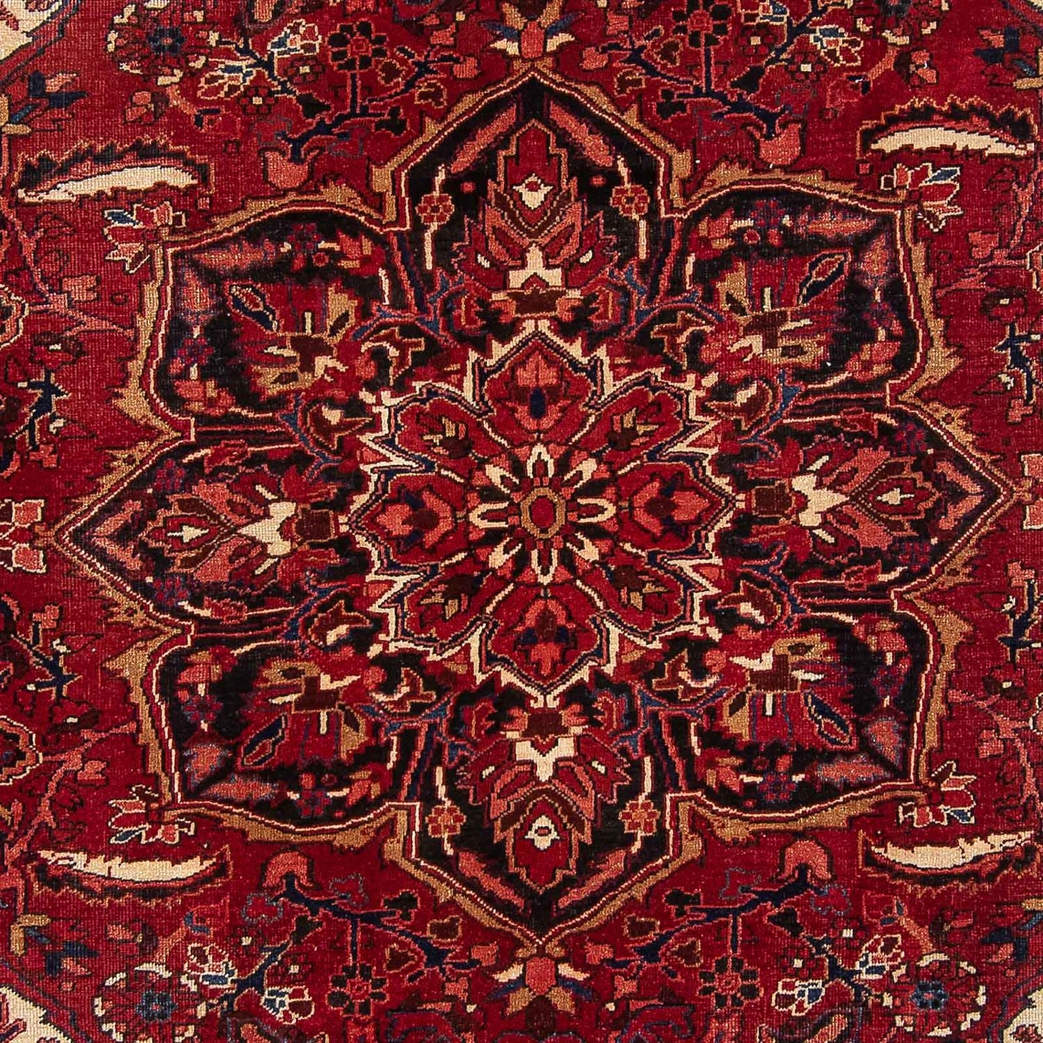 Alfombra persa - Nómada - 347 x 244 cm - rojo oscuro