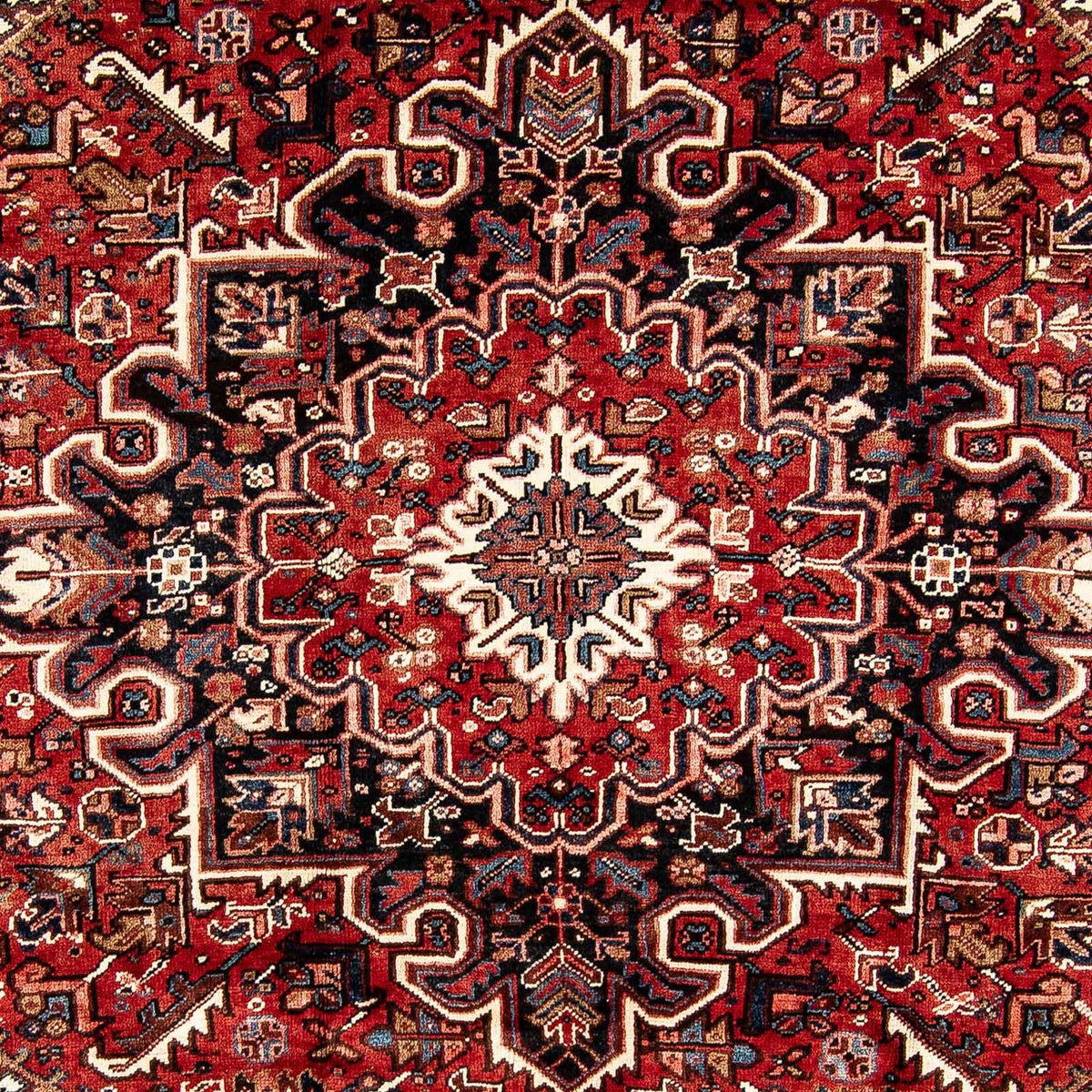 Alfombra persa - Nómada - 323 x 231 cm - rojo oscuro