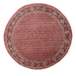 Alfombra persa - Bidjar redondo  - 300 x 300 cm - rojo