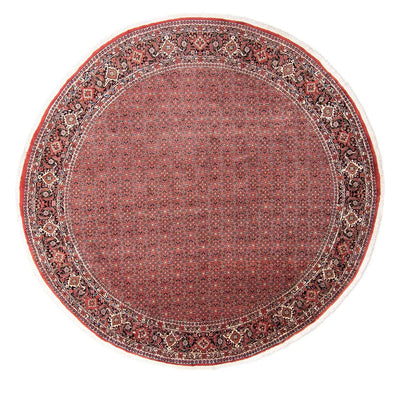 Bidjar Alfombra 300x300cm - Alfombra persa