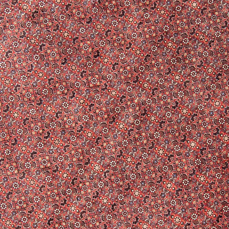 Alfombra persa - Bidjar redondo  - 300 x 300 cm - rojo