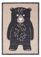 WH-BärPolarlichterPracht-170x120---01.jpg